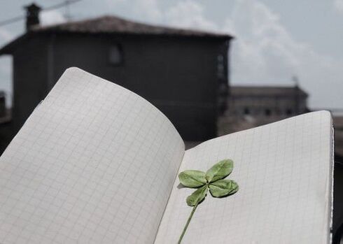 Four-leaf clover - a talisman for luck