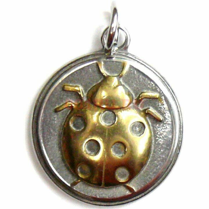 ladybug amulet - door financial luck