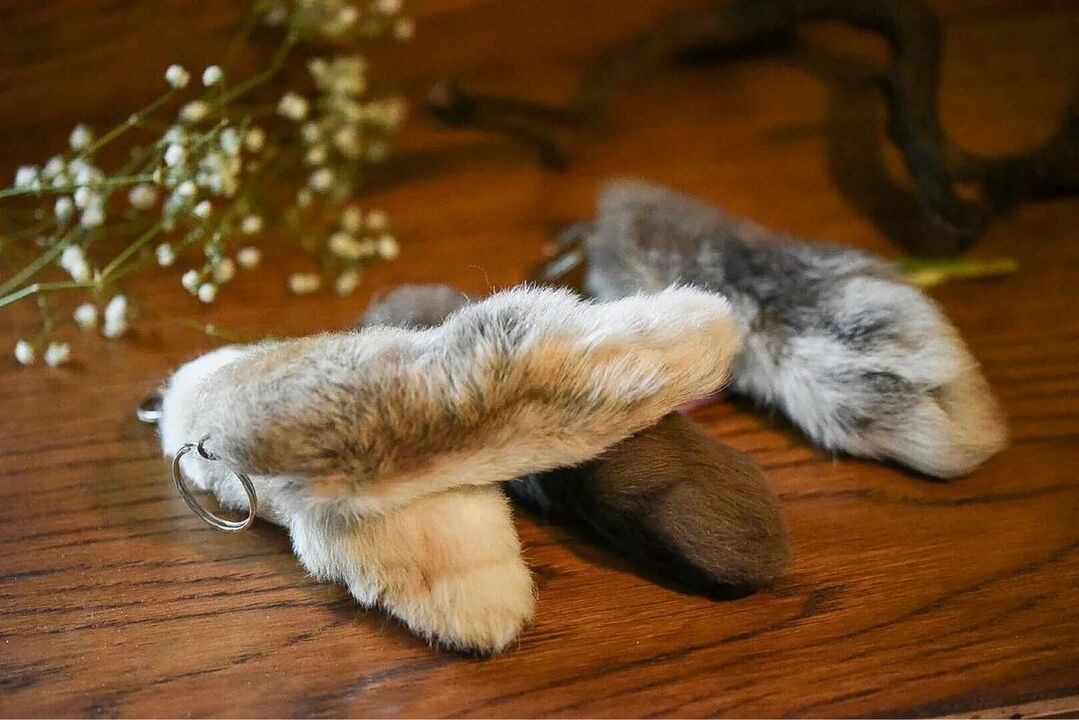 lucky rabbit's foot
